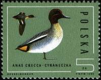 (1985-039) Марка Польша "Чирок-свистунок"    Охрана природы. Дикие утки II Θ