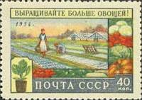 (1954-052) Марка СССР "Уборка овощей"    Сельское хозяйство I O