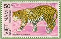 (1984-013) Марка Вьетнам "Леопард"    Охраняемые животные III Θ