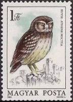(1984-068) Марка Венгрия "Домовый сыч"    Защита птиц. Совы II Θ