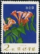 (1974-053) Марка Северная Корея "Китайская трубная лоза"   Цветы III Θ