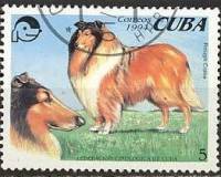 (№3771) Марка Куба 1994 год "Колли canis волчанка familiaris", Негашеная