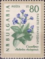 (1960-031) Марка Болгария "Хаберлея родопская"   Охрана природы. Цветы II Θ