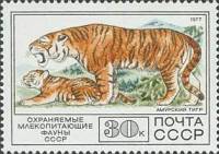 1977-106 Марка СССР Амурский тигр  Фауна III O