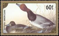 (1986-061) Марка Монголия "Красноголовый нырок"    Водоплавающие птицы III Θ