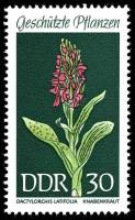 (1969-029) Марка Германия (ГДР) "Пальчатокоренник"    Растения под защитой III Θ