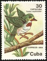 (1984-077) Марка Куба "Кубинский тоди"    Фауна III Θ