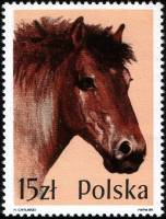 (1989-002) Марка Польша "Дикая лошадь"    Лошади III Θ