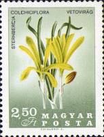 (1967-006) Марка Венгрия "Штернбергия колхикоцветная" ,  III O