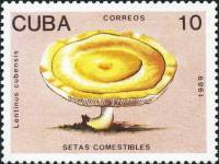 (1989-009) Марка Куба "Псилоцибе кубинский"    Съедобные грибы III Θ