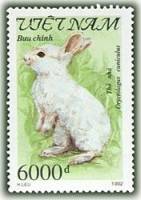 (1992-091) Марка Вьетнам "Домашний кролик"    Грызуны III O