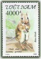 (1992-089) Марка Вьетнам "Малая египетская песчанка"    Грызуны III Θ