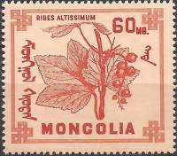 (1968-014) Марка Монголия "Смородина высочайшая"    Ягоды III O