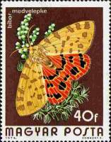 (1974-079) Марка Венгрия "Медведица пурпурная"    Бабочки II Θ