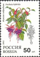 1993-017a Марка Россия Бумага не UV  Комнатные растения III O