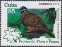(№5861) Марка Куба 2014 год "Starnoenas cyanocephala", Гашеная