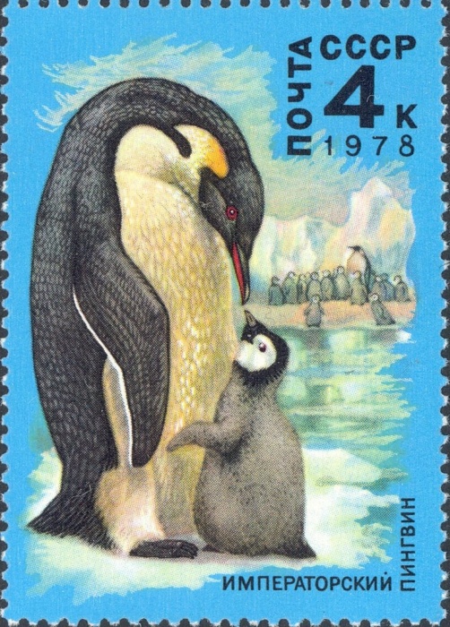 (1978-053) Марка СССР &quot;Императорский пингвин&quot;   Животный мир Антарктики III Θ