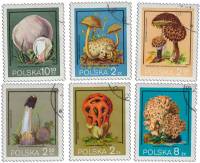 (1980-) Марка Польша ""      III не использовать Θ