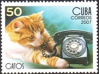 (№4900) Марка Куба 2007 год &quot;Домашней кошки felis silvestris зато&quot;, Негашеная