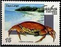 (№3776) Марка Куба 1994 год "Летучая мышь corallinus Коралловый Carpilius Краб", Гашеная