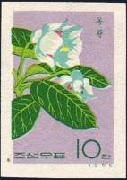 (1965-086) Марка Северная Корея "Камелия"   Цветы III Θ