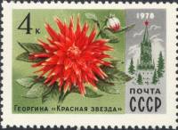 1978-033 Марка СССР Георгина Красная Звезда  Цветы Москвы III Θ