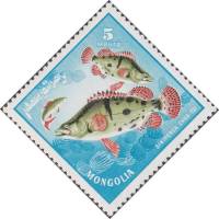 (1965-023) Марка Монголия "Китайский окунь"    Речные хищные рыбы II O