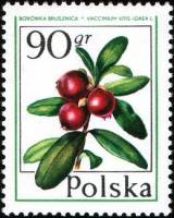 (1977-006) Марка Польша "Клюква"    Лесные ягоды III Θ