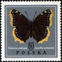 (1967-060) Марка Польша "Траурница"   Бабочки I Θ