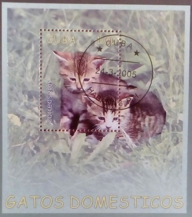 (№199) Блок марок Куба 2005 год &quot;Кошка&quot;, Гашеный