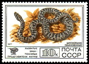 1977-102 Марка СССР Щитомордник обыкновенный  Фауна III O