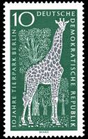 (1965-010) Марка Германия (ГДР) "Жираф"    Зоопарк, Берлин II Θ