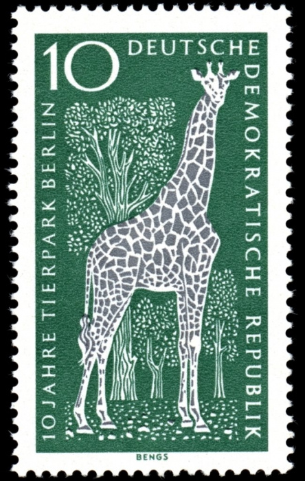 (1965-010) Марка Германия (ГДР) &quot;Жираф&quot;    Зоопарк, Берлин II Θ