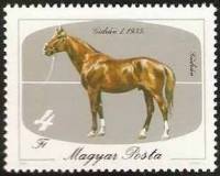 (1985-037) Марка Венгрия "Гидран 1, 1935"    Лошади II Θ
