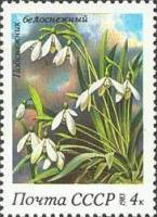 1983-035 Марка СССР Подснежник белоснежный  Весенние цветы III Θ