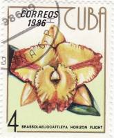 (1986-058) Марка Куба "Брассолаэлиокаттлея"    Орхидеи III Θ