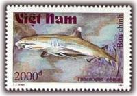 (1991-039) Марка Вьетнам "Рифовая акула"    Акулы III Θ
