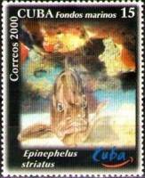 (№4315) Марка Куба 2000 год "Нассау Групер Epinephelus striatus", Гашеная
