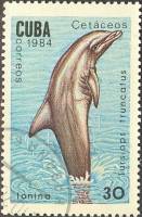 (1984-018) Марка Куба "Афалина"    Киты и дельфины III Θ
