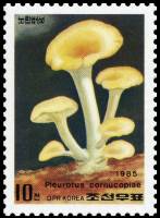 (1985-018) Марка Северная Корея "Вёшенка рожковидная"   Грибы III Θ