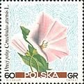 (1967-043) Марка Польша "Вьюнок полевой"   Полевые цветы I Θ