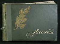 Альбом с фотографиями "Звезды кино", XX  век, 32  листа, 224 фото