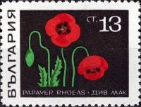 (1969-007) Марка Болгария "Мак"   Лекарственные растения III O