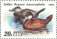 (1991-057) Марка СССР "Савка"   Утки III Θ