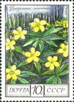1975-107 Марка СССР Ветреница лютичная  Флора III O