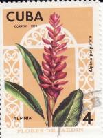 (1974-055) Марка Куба "Альпиния пурпурная"    Садовые цветы II Θ