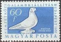 (1957-025) Марка Венгрия "Домашний голубь"    Международная выставка голубей, Будапешт III Θ