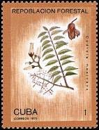 (1975-044) Марка Куба "Цедрела душистая"    Лесопосадки III Θ