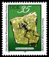 (1978-095) Марка Германия (ГДР) "Ископаемая лягушка"    Музей Дрездена, 250 лет III Θ