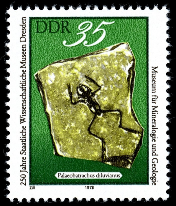 (1978-095) Марка Германия (ГДР) &quot;Ископаемая лягушка&quot;    Музей Дрездена, 250 лет III Θ